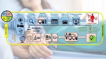Molekulare Onkologie und Hämatologie