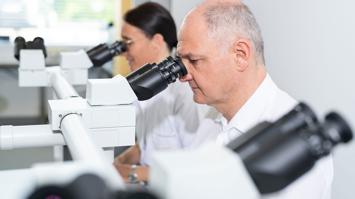 Menschliche Zellen unter dem Mikroskop entdecken