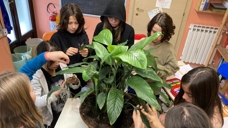 Friendship with Nature - Kinder pflegen eine Pflanze