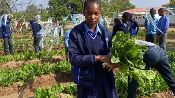 Schulgarten in Südafrika