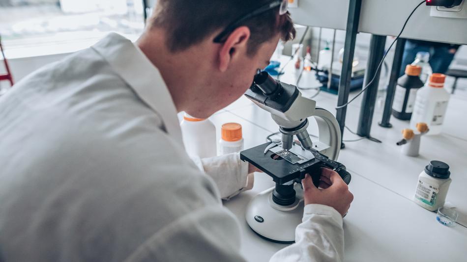 Arbeiten mit dem Lichtmikroskop