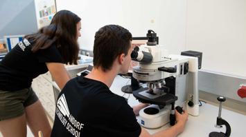 Mikroskopieren in der Werkstoffprüfung