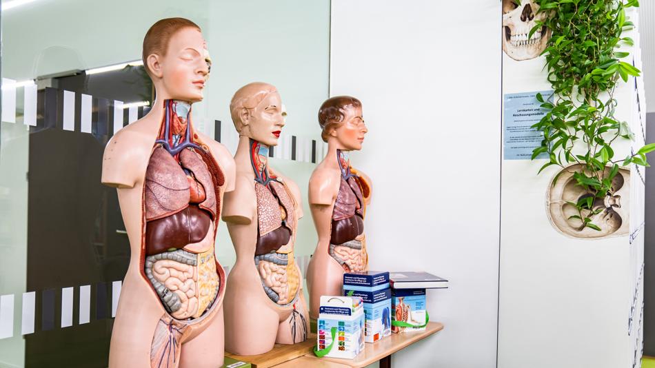 Was sagt dein Stuhl über deine Ernährung aus?