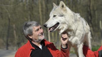 Kurt Kotrschal mit Timberwolf Chitto.