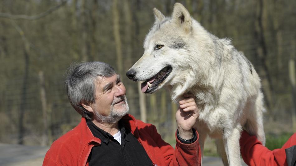 Kurt Kotrschal mit Timberwolf Chitto.