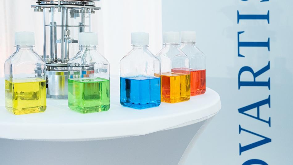 Entdecke die faszinierende Welt der Farben