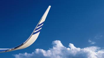 Winglet