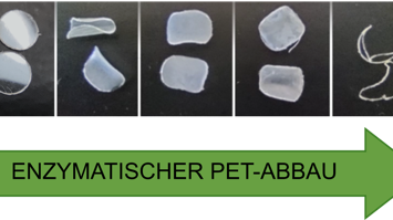 Enzymbasierter Abbau von PET Plastik