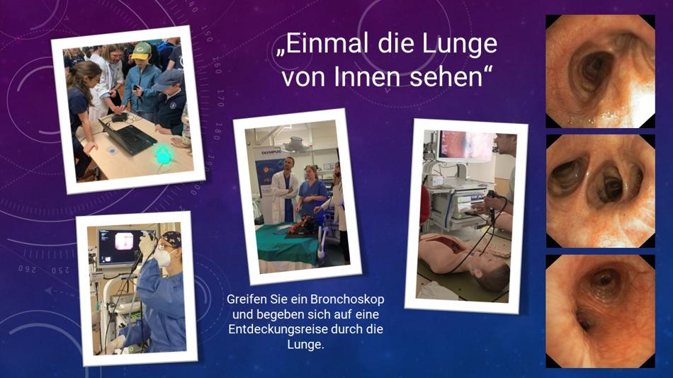 Einmal die Lunge von innen sehen