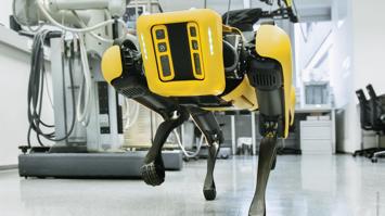 MCI Roboterhund Spot als Assistenzhund