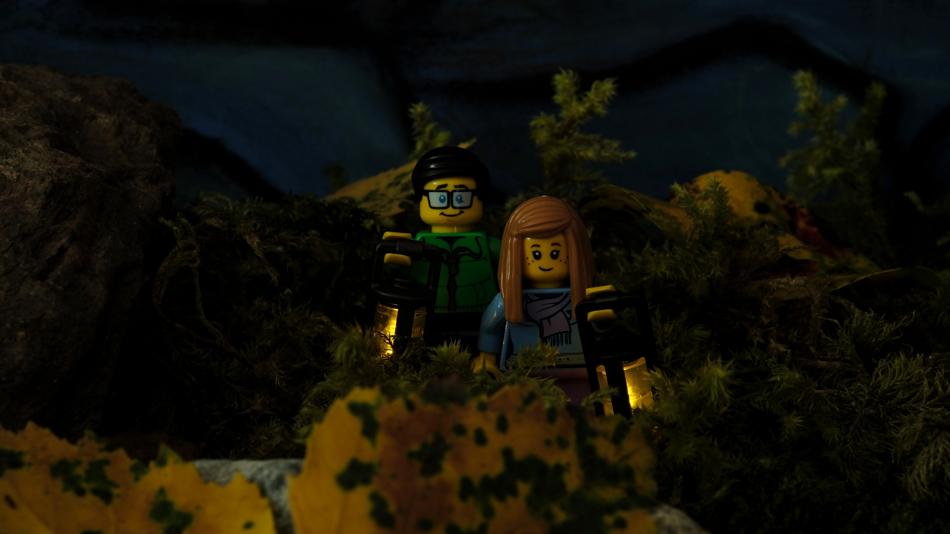 Nächtliche Entdeckungsreise durch den Botanischen Garten