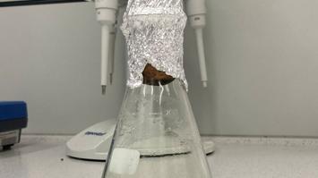 flüssige Algenkultur