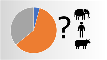 Tortendiagramm Elefant, Mensch, Kuh