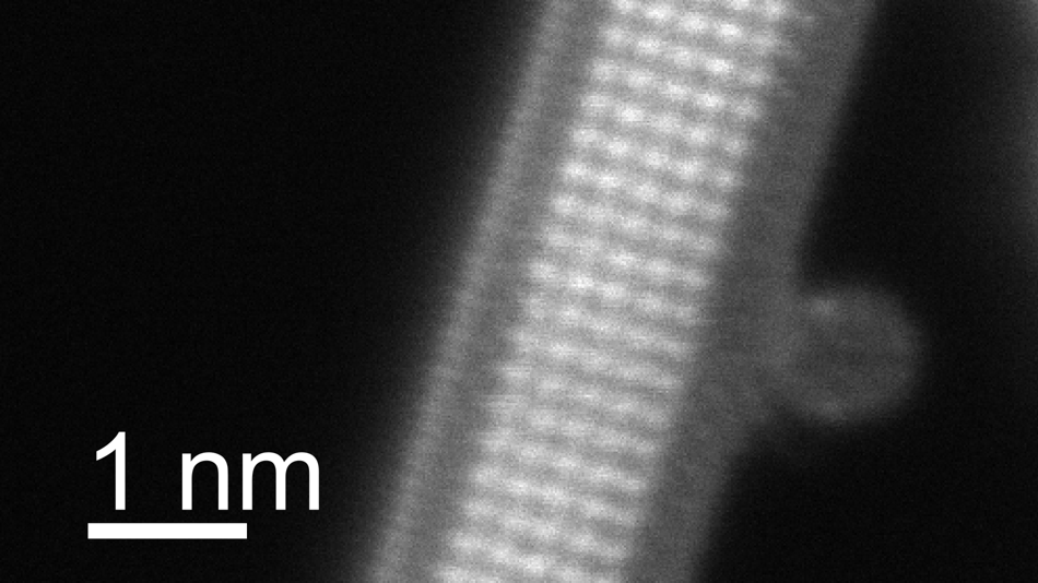 Metall Nanodraht eingeschlossen in einer Kohlenstoffnanoröhre.