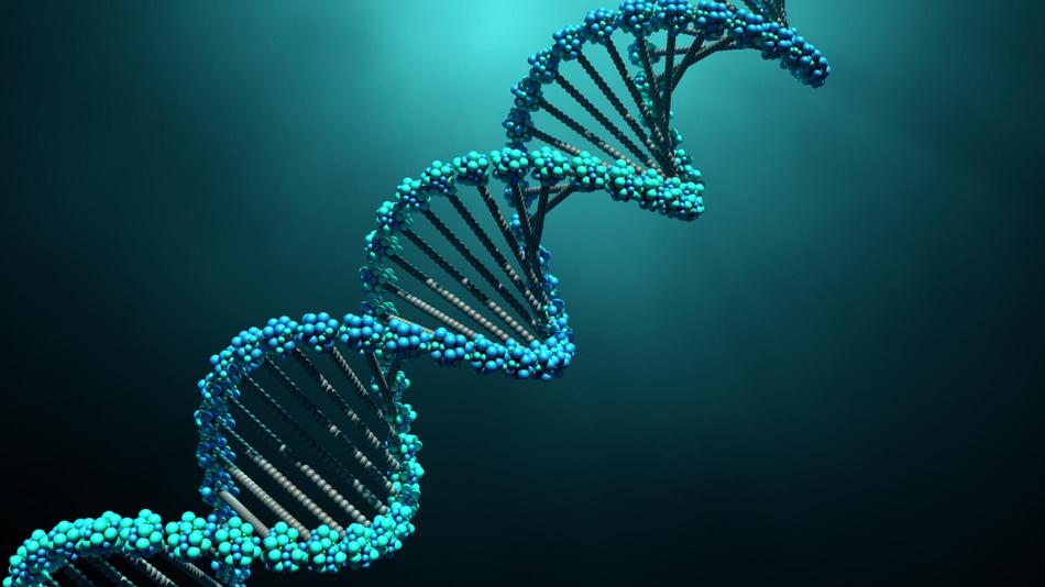 DNA Strang