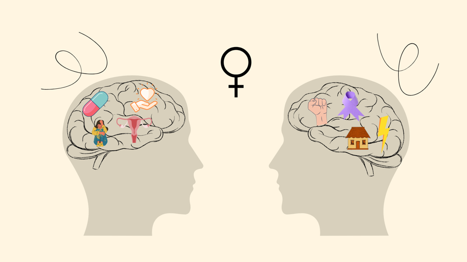 Grafische Darstellung weibliches Gehirn
