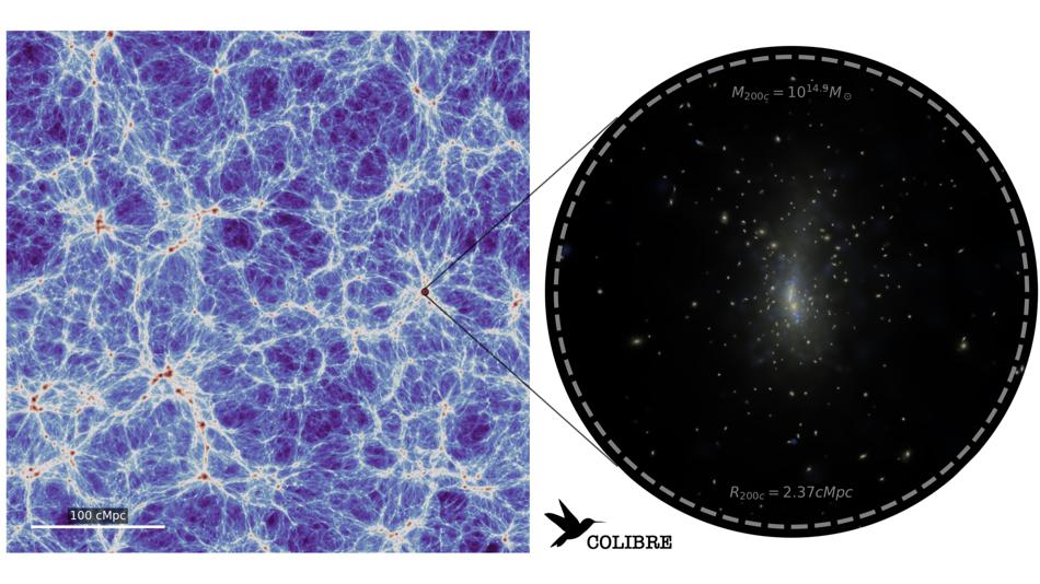 Ein simulierter Galaxienhaufen im kosmischen Netz