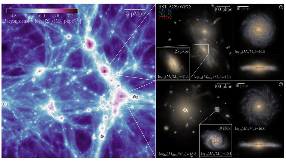 Die COLIBRE Simulationen
