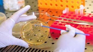 Umweltbiotechnologie