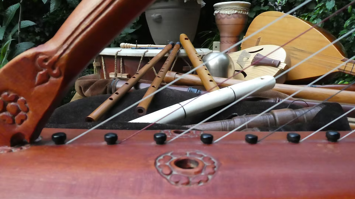 Foto Saiteninstrument