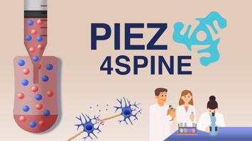 Das EU Forschungsprojekt Piezo4Spine entwickelt eine neue Therapiemöglichkeit für Rückenmarskverletzungen mithilfe von Nanotechnologie