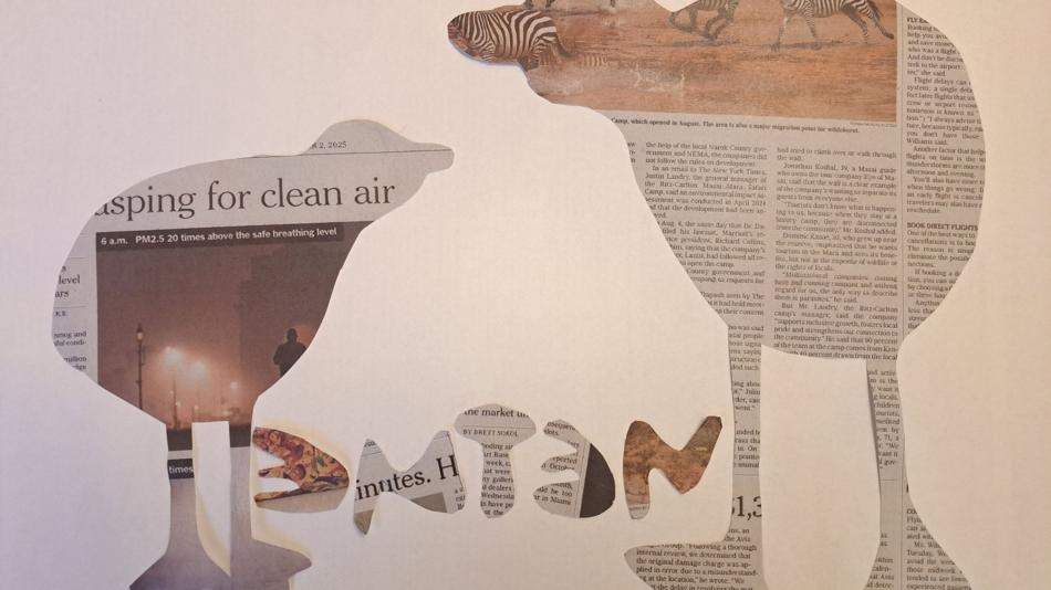 Vögel aus Collage aus Zeitungsartikeln