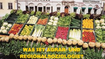 Kisten gefüllt mit verschiedenen Gemüsesorten