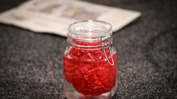 BildA02_OlympiazentrumVorarlberg