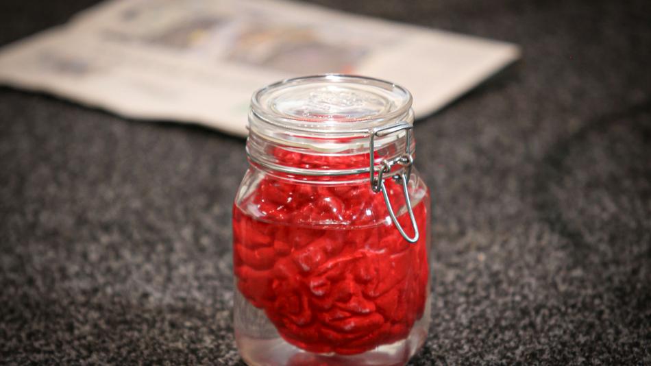 BildA02_OlympiazentrumVorarlberg