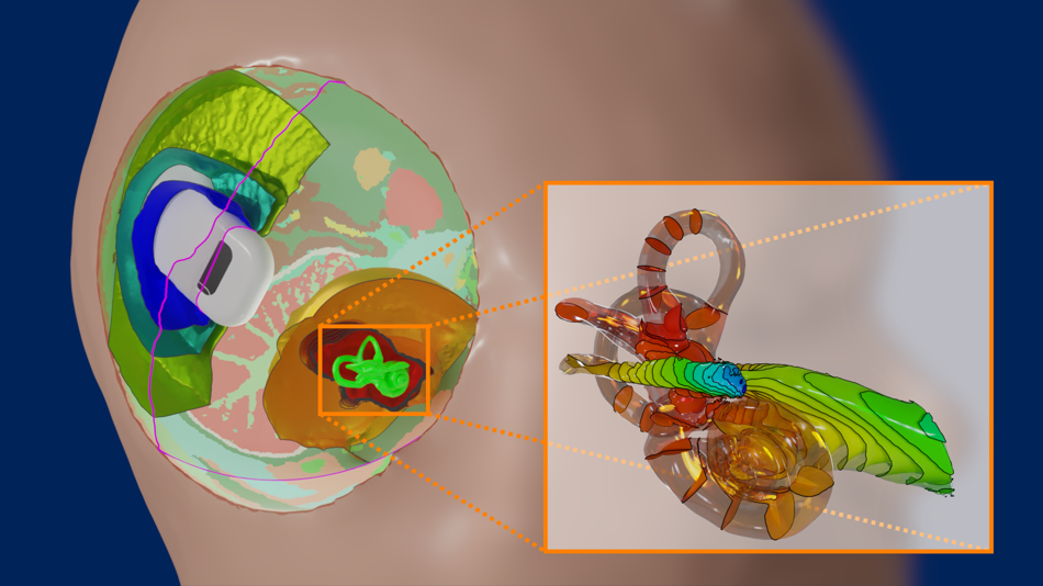 Biomedizinische Modellbildung und Simulation