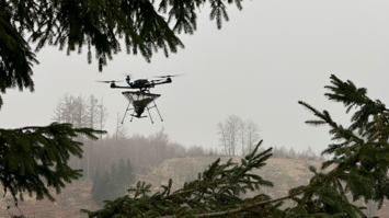 Drohne von Skyseed im Wald