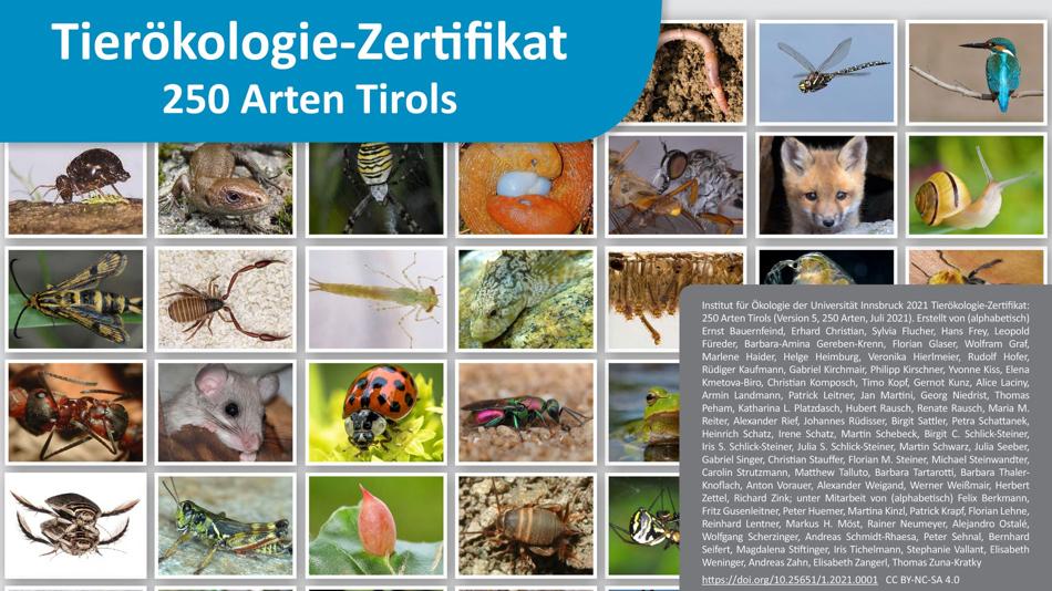 Infos zum Tierökologiezertifikat