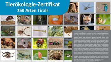 Infos zum Tierökologiezertifikat