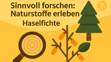 Darstellung zum Erforschen von der Haselfichte