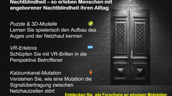 Darstellung zur Nachtblindheit