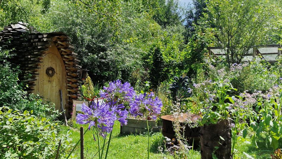 Fotoaufnahme des interdisziplinären Gartens