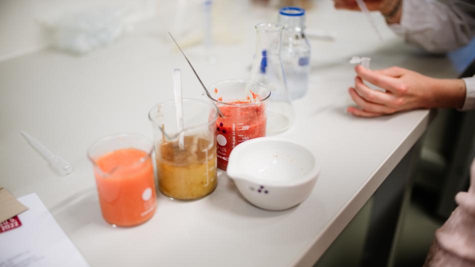 Laborgefäße stehen mit verschiedenen Flüssigkeiten auf einem Tisch.