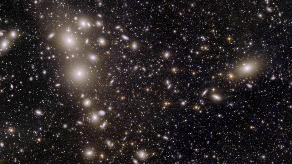 Euclid-Aufnahme des Perseus Galaxienhaufen, die eine nie zuvor gesehene Vielfalt an Galaxien zeig