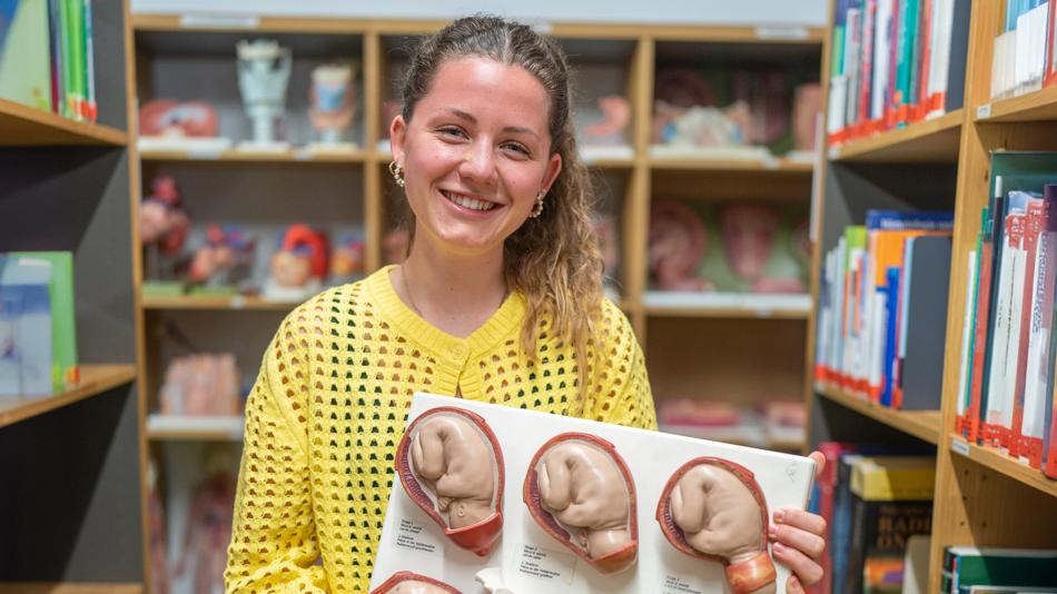 Wie schnell wächst der Fetus?