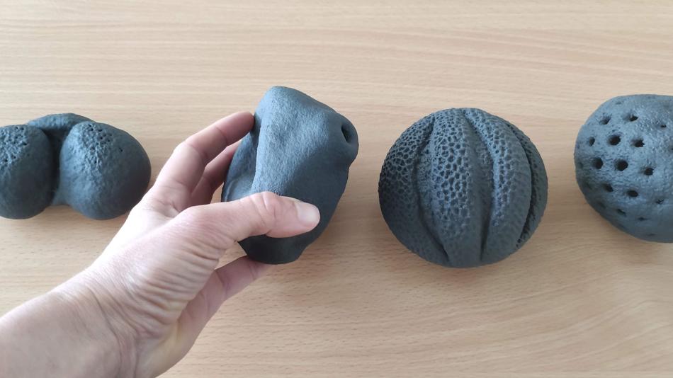 Verschiedene Pollen in 10.000 facher Vergrößerung