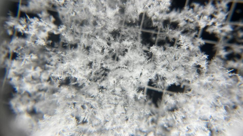 Schneekristalle unter der Lupe
