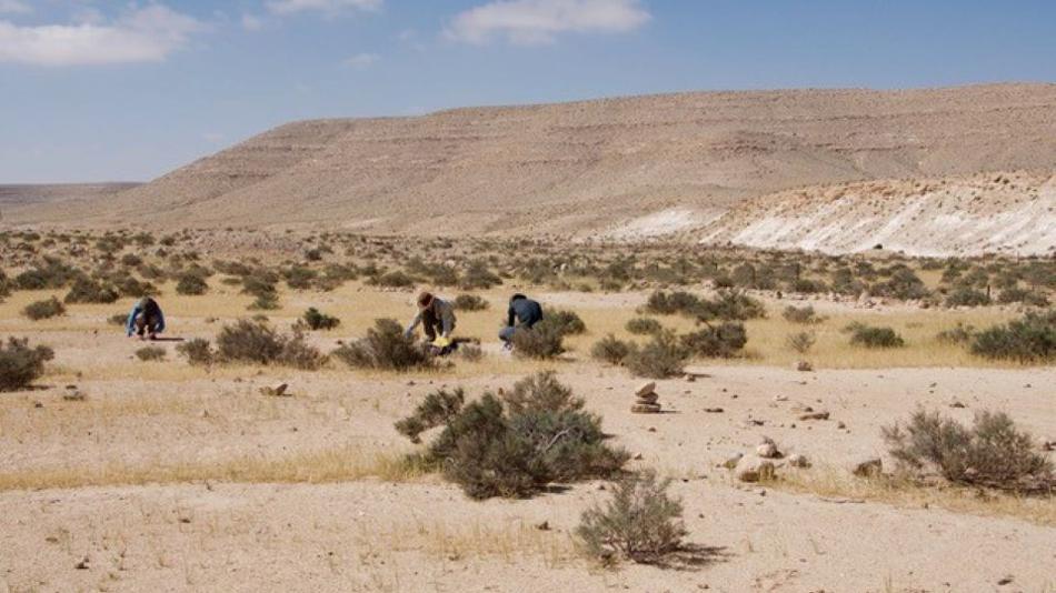 Wüstenlandschaft mit Bergkette im Hintergrund und vereinzelten Büschen