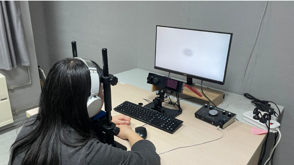 Eye-tracking Setup zur Messung von Sprachschönheit