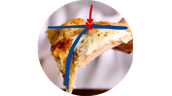 A slice of pizza with curvature highlighted by two lines