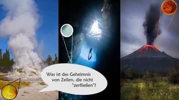 Collage aus Geysir, Tiefsee mit Taucher und ausbrechendem Vulkan mit eingeblendeten Mikroorganismen sowie der Frage nach dem Geheimnis von Zellen, die nicht „zerfließen“.
