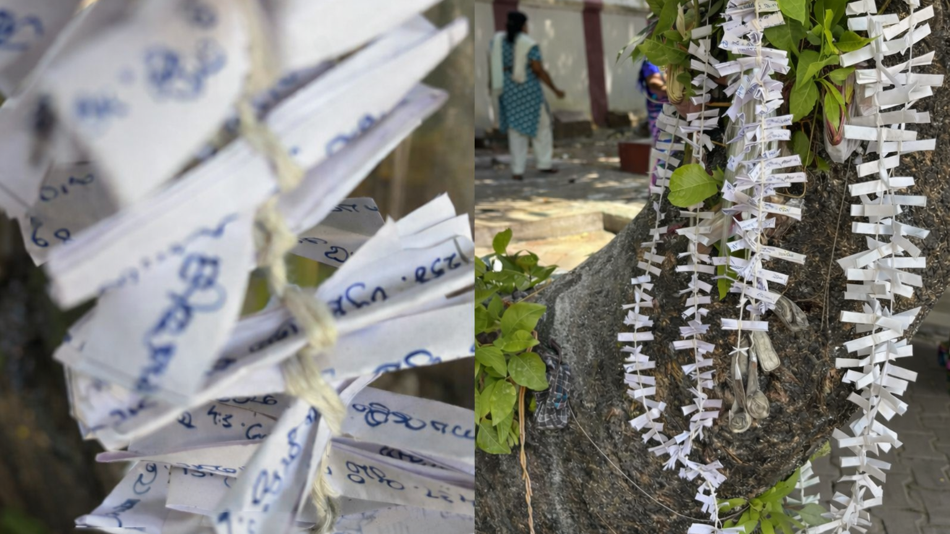 Gefaltete Namens und Mantrazettel, die als Teil einer rituellen Praxis an einem Baum befestigt werden.