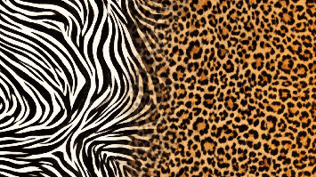 Muster von Zebra und Leopard