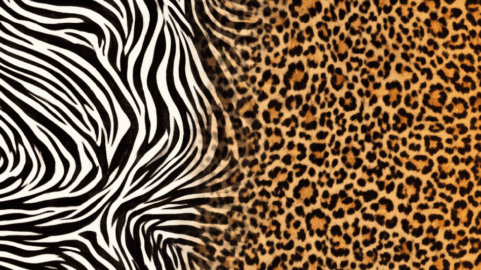 Muster von Zebra und Leopard