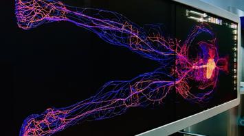 Foto des Anatomie-Tisches.