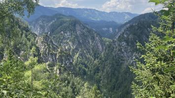 Foto Bäumen und Bergen.